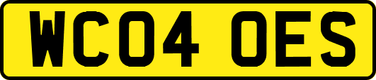 WC04OES