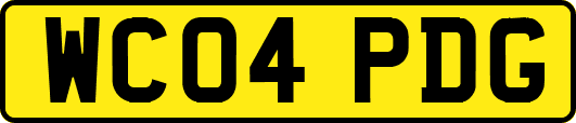 WC04PDG