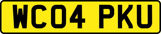 WC04PKU