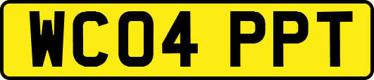 WC04PPT