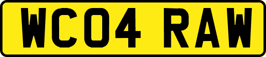 WC04RAW