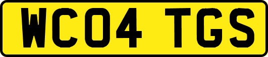 WC04TGS