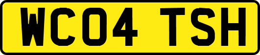 WC04TSH