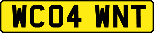 WC04WNT