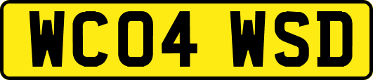 WC04WSD