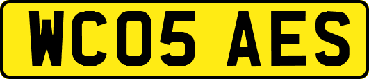 WC05AES