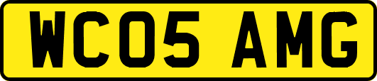 WC05AMG