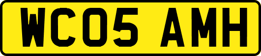 WC05AMH