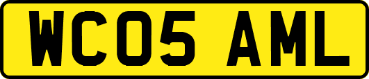 WC05AML