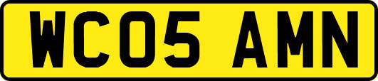 WC05AMN
