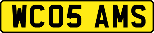 WC05AMS