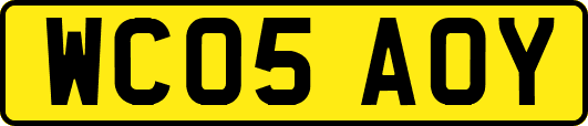 WC05AOY