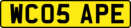 WC05APE