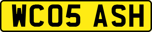 WC05ASH