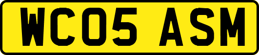 WC05ASM