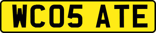 WC05ATE