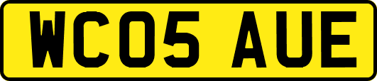 WC05AUE