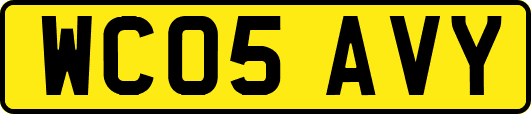 WC05AVY
