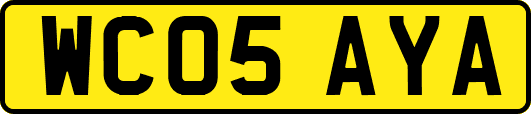 WC05AYA