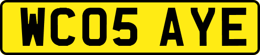 WC05AYE
