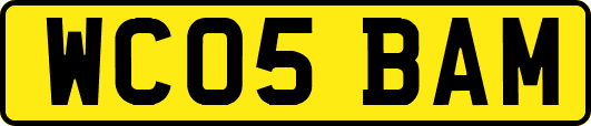 WC05BAM
