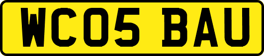 WC05BAU