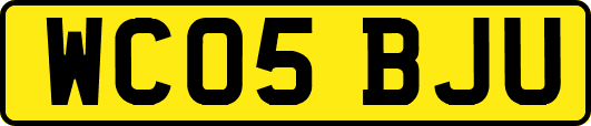 WC05BJU