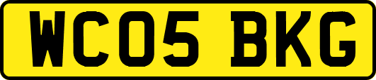 WC05BKG