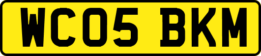 WC05BKM