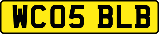 WC05BLB