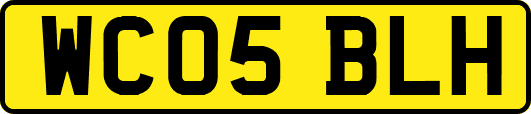 WC05BLH