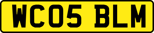 WC05BLM