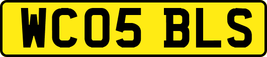WC05BLS