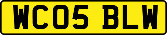 WC05BLW