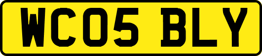 WC05BLY