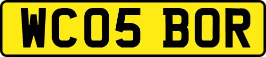 WC05BOR