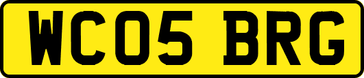WC05BRG