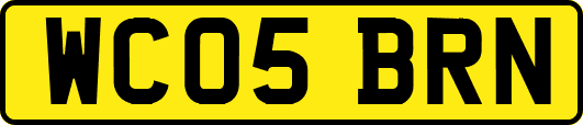 WC05BRN