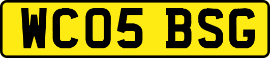 WC05BSG