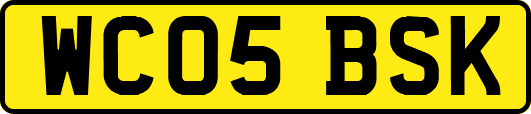 WC05BSK