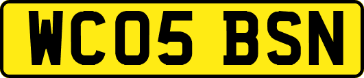 WC05BSN