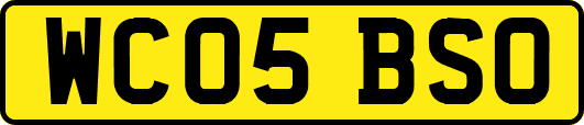 WC05BSO