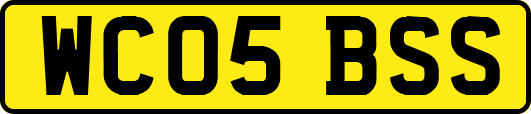 WC05BSS