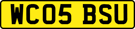 WC05BSU