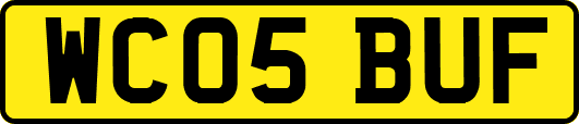 WC05BUF