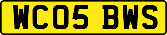 WC05BWS