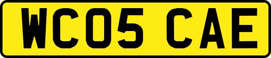 WC05CAE