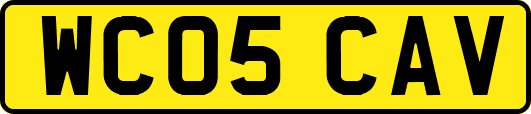 WC05CAV