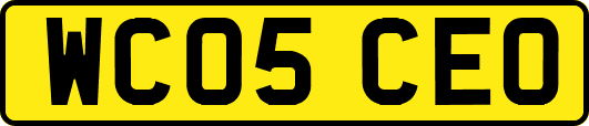WC05CEO