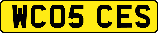 WC05CES